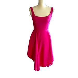 Esteban Cortazar Collective Pink Flamenco Dress Size 0 Oversized